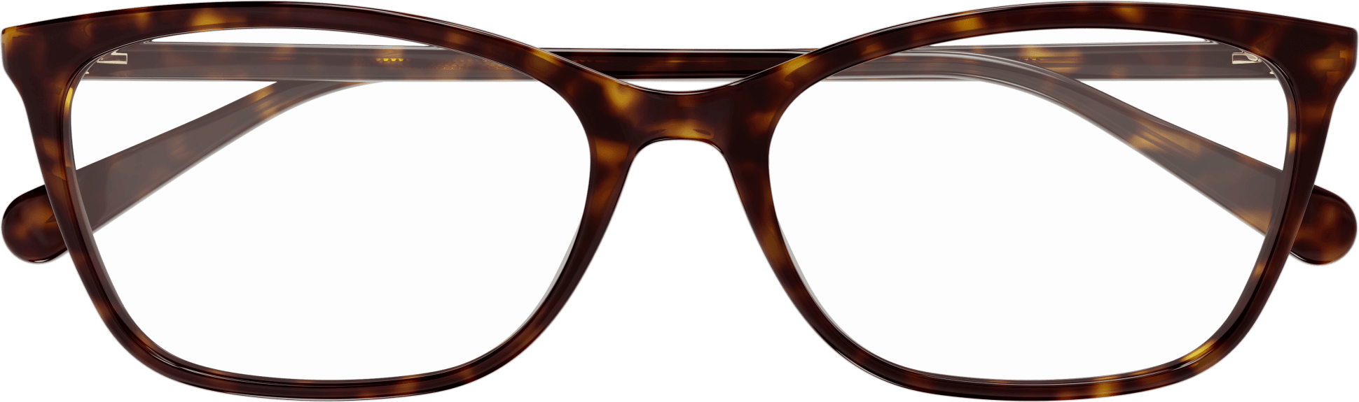 Color_GG1930O-002 - HAVANA - TRANSPARENT / SIZE: 55