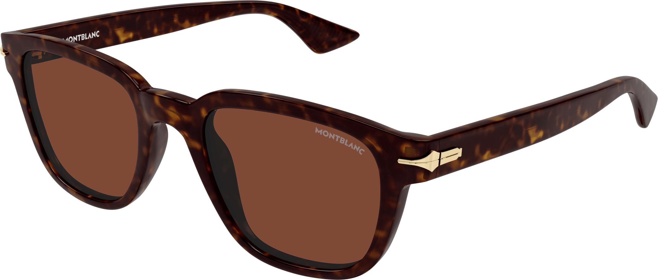 Color_MB0302S-012 - HAVANA - BROWN