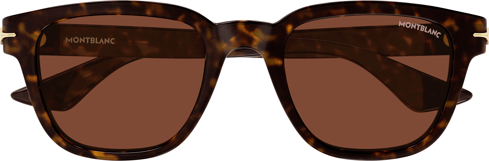 Color_MB0302S-012 - HAVANA - BROWN