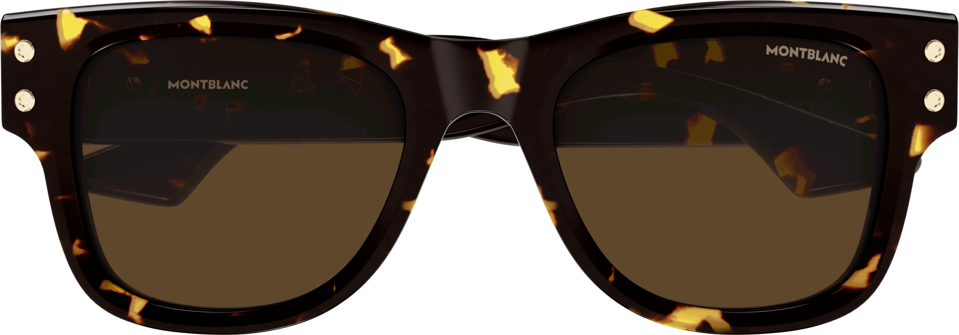 Color_MB0381S-003 - HAVANA - BROWN