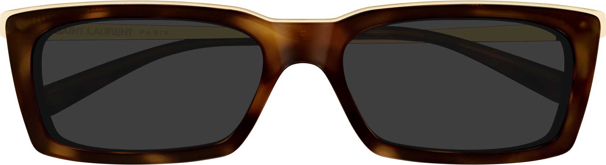 Color_Saint Laurent SL 766/F