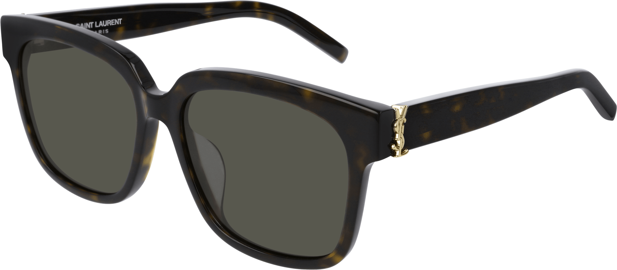 Color_Saint Laurent SL M40/F