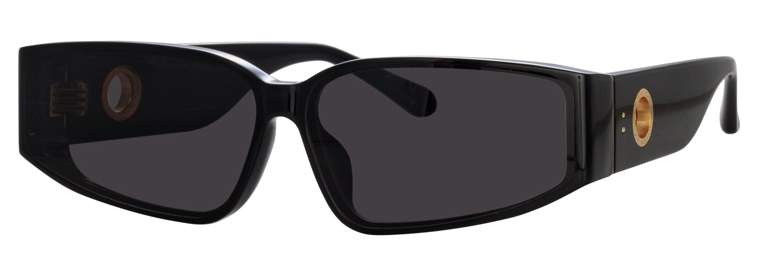 Color_LFL1465C1SUN - Alexis Angular Sunglasses in Black