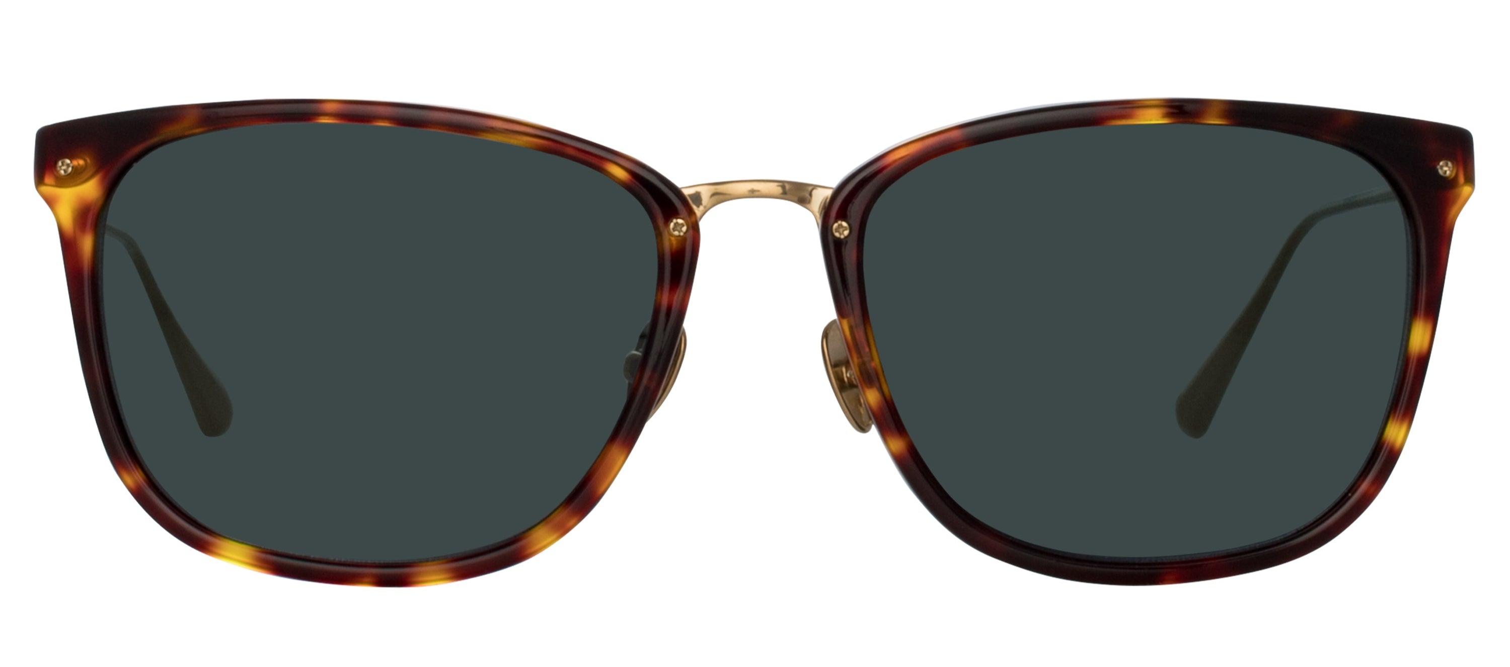 Color_LFL1457C2SUN - Cassin D-Frame Sunglasses in Tortoiseshell