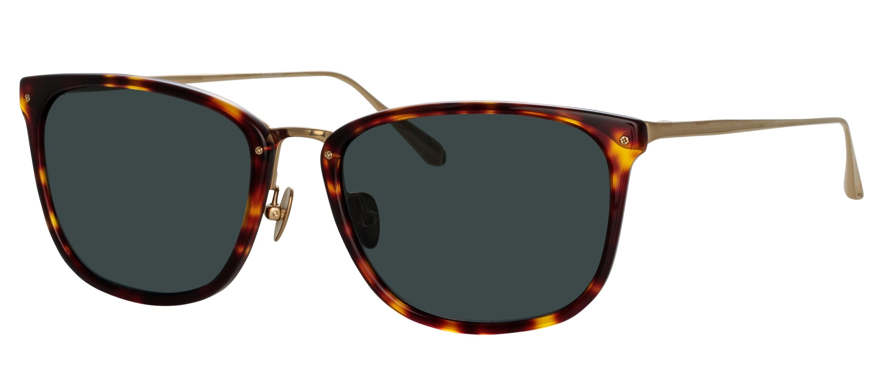Color_LFL1457C2SUN - Cassin D-Frame Sunglasses in Tortoiseshell