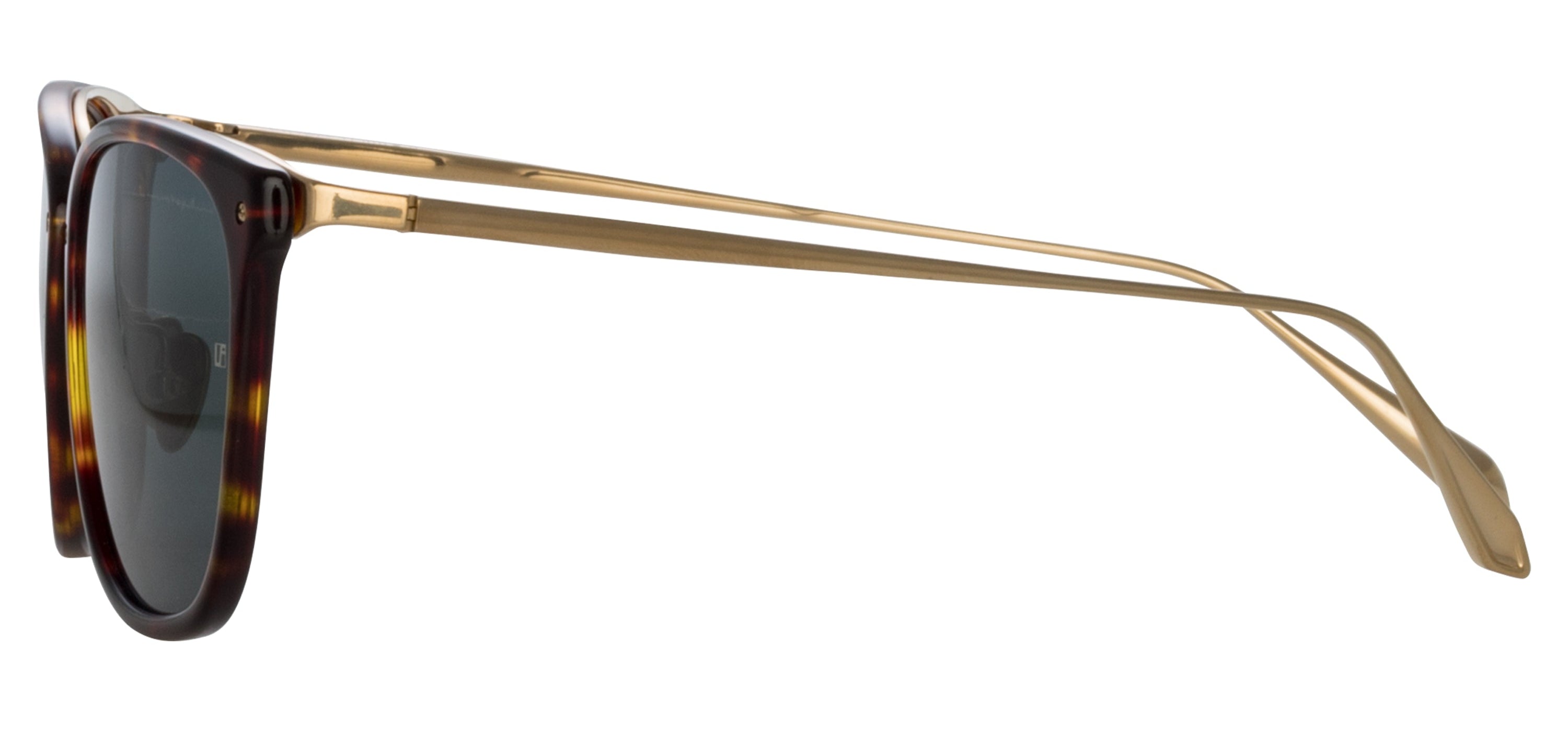 Color_LFL1457C2SUN - Cassin D-Frame Sunglasses in Tortoiseshell