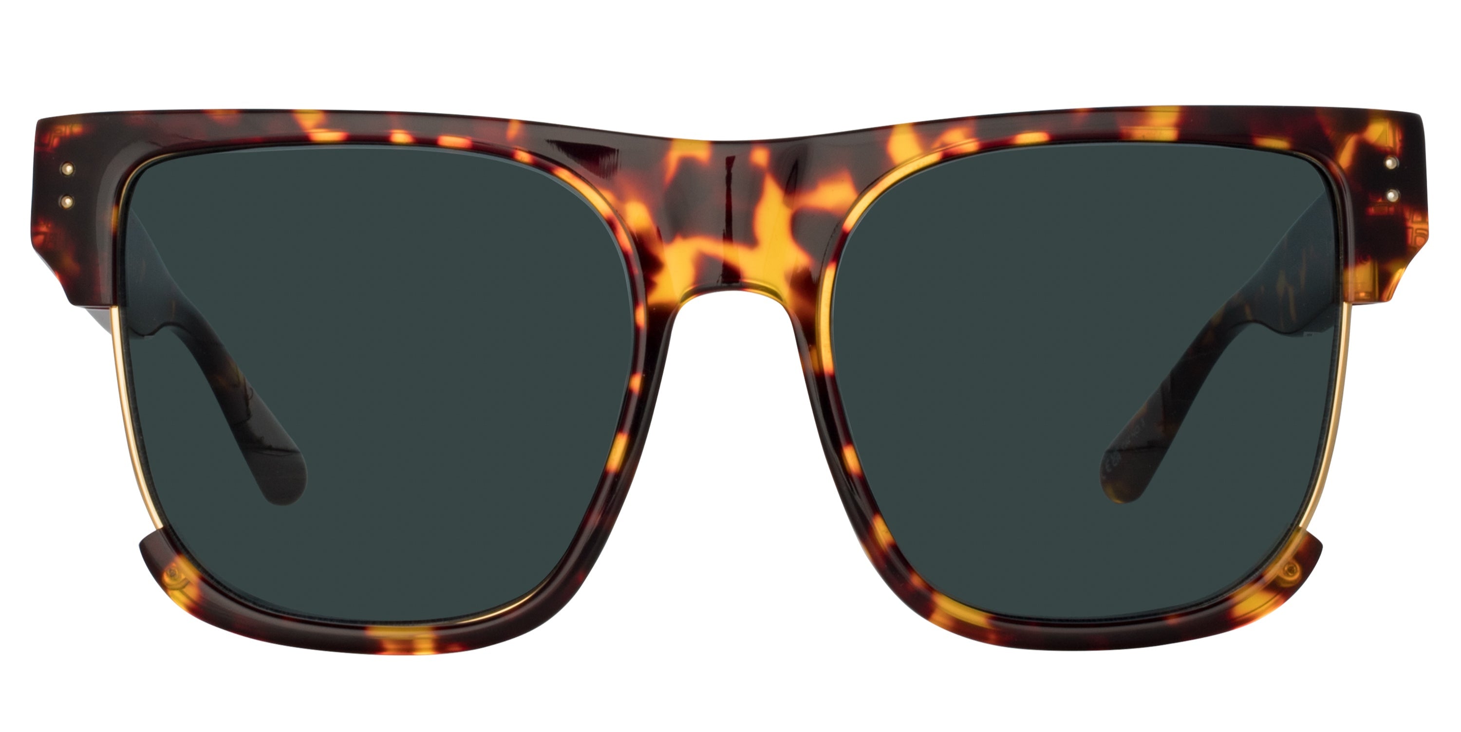 Color_LFL1438C2SUN - Lomas D-Frame Sunglasses in Tortoiseshell