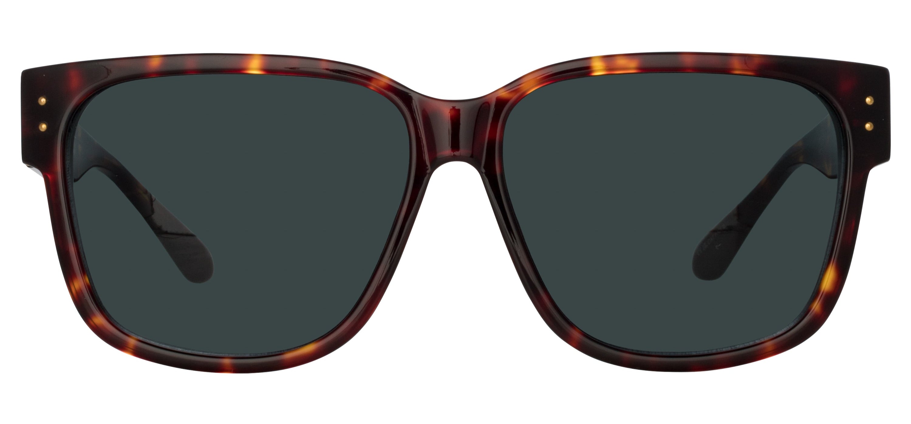 Color_LFL1429C2SUN - Perry D-Frame Sunglasses in Tortoiseshell