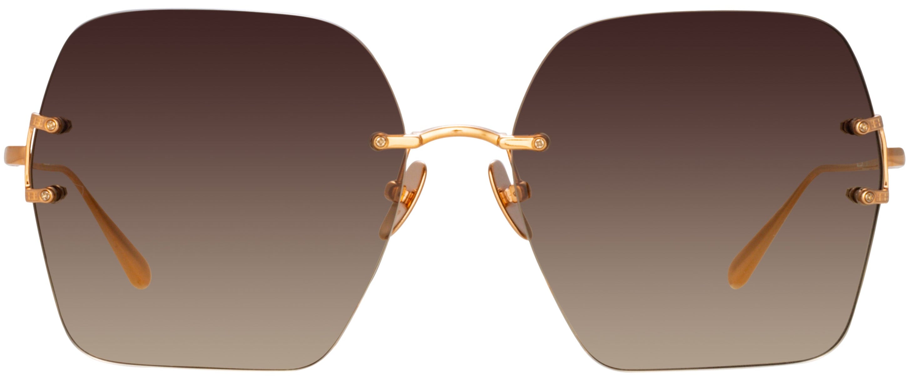 Color_LFL1395C3SUN - Carina Oversized Sunglasses in Rose Gold / Mocha