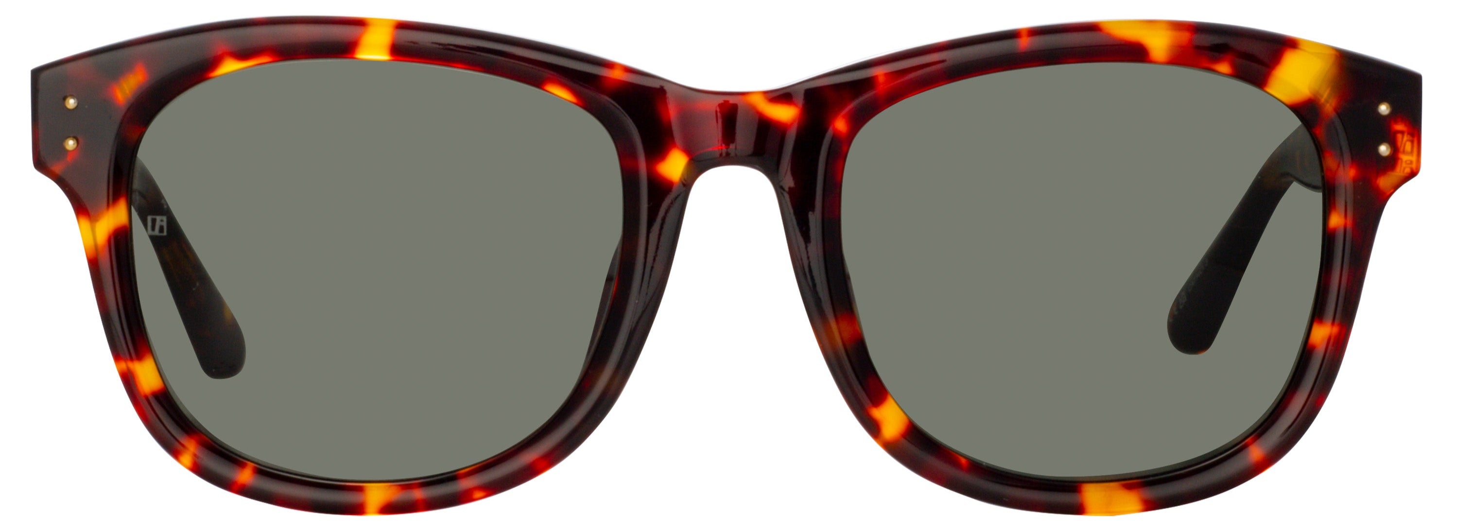 Color_LFL1385C5SUN - Edson D-Frame Sunglasses in Tortoiseshell