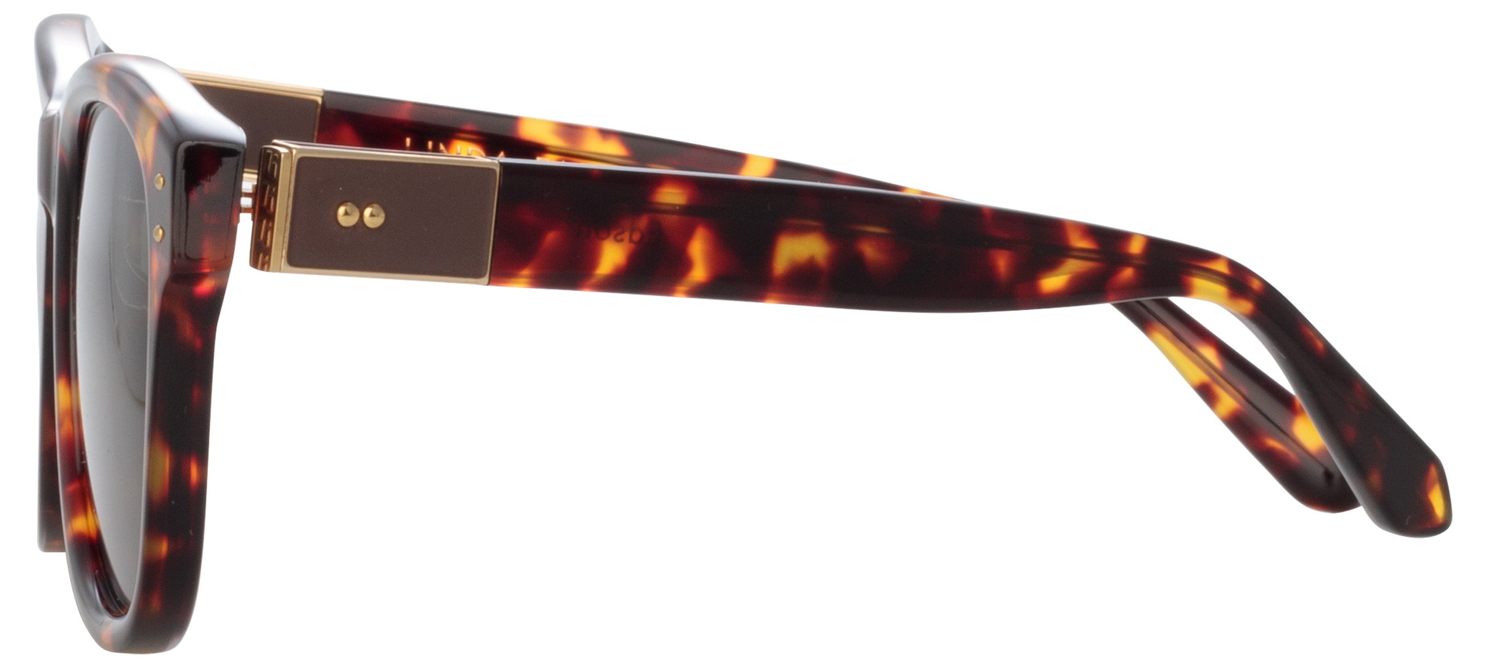 Color_LFL1385C5SUN - Edson D-Frame Sunglasses in Tortoiseshell