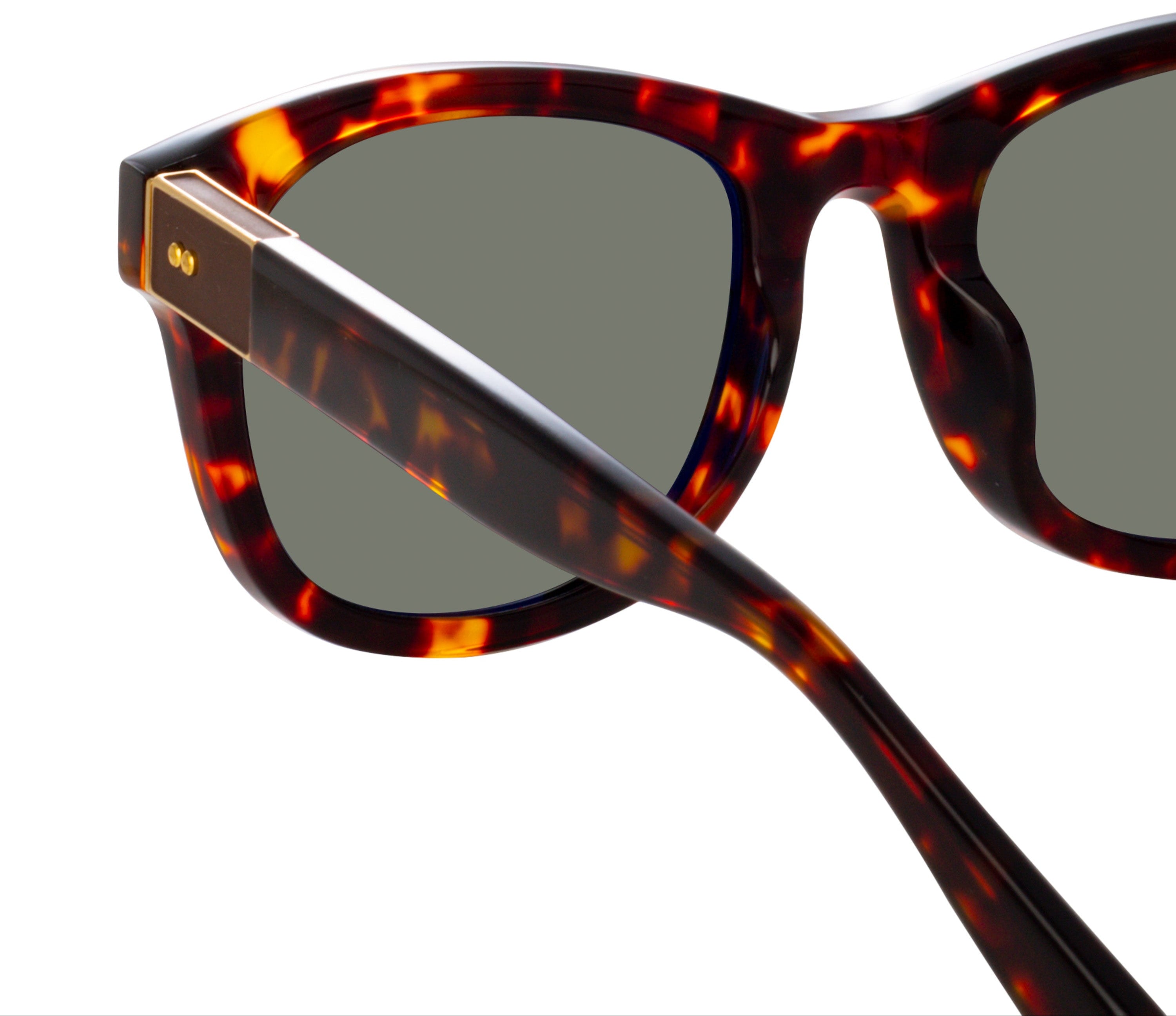 Color_LFL1385C5SUN - Edson D-Frame Sunglasses in Tortoiseshell