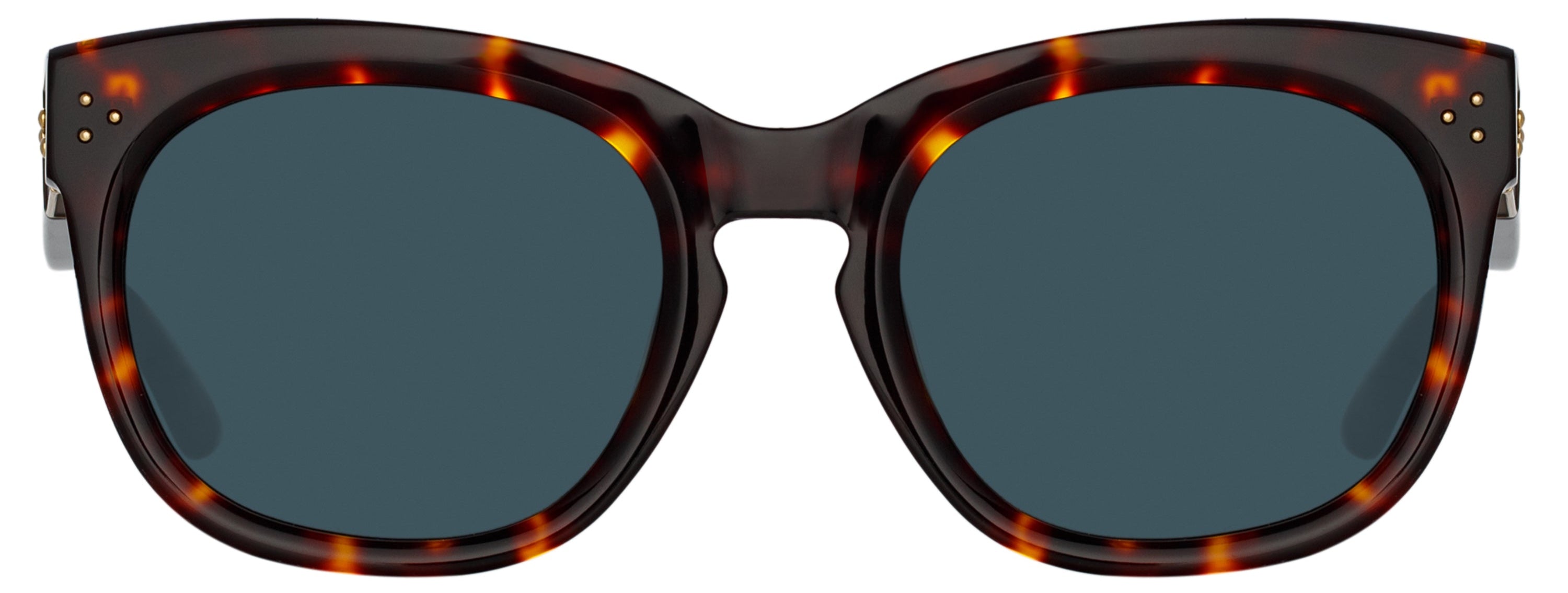 Color_LFL1384C2SUN - Jenson D-Frame Sunglasses in Tortoiseshell