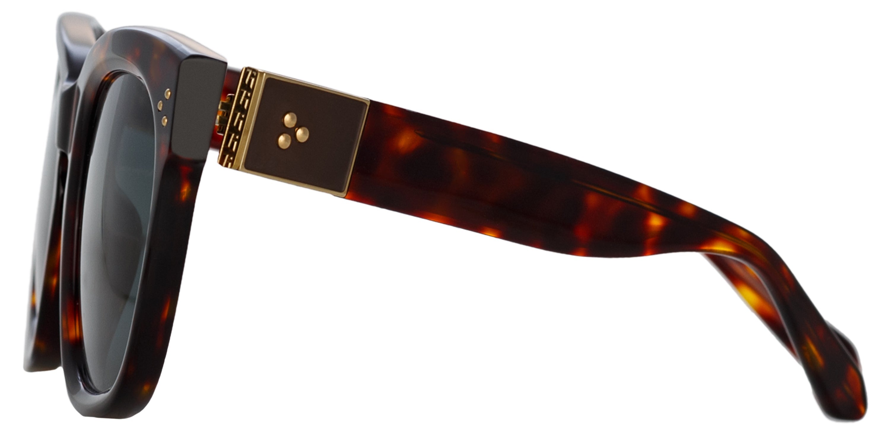 Color_LFL1384C2SUN - Jenson D-Frame Sunglasses in Tortoiseshell