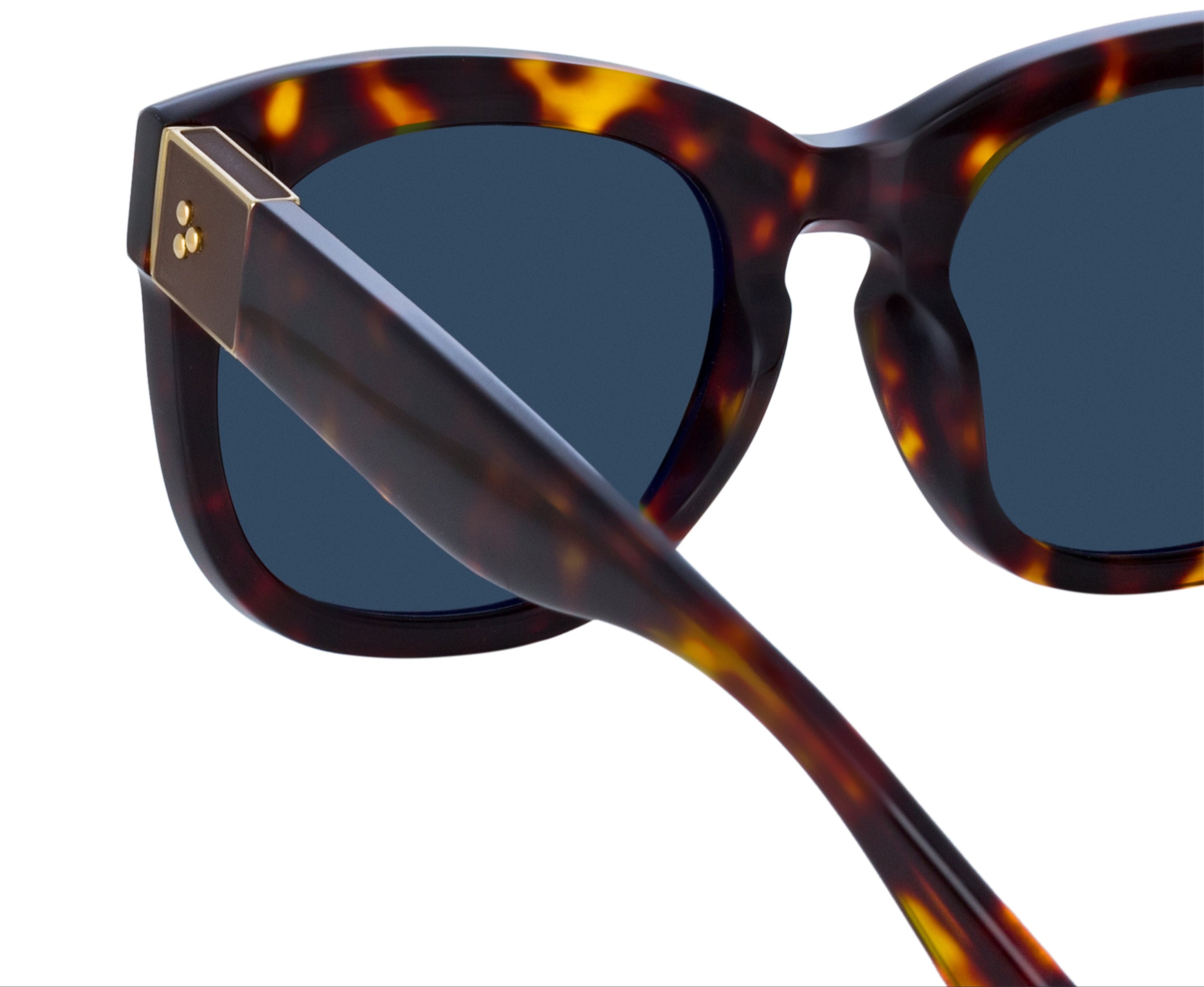 Color_LFL1384C2SUN - Jenson D-Frame Sunglasses in Tortoiseshell