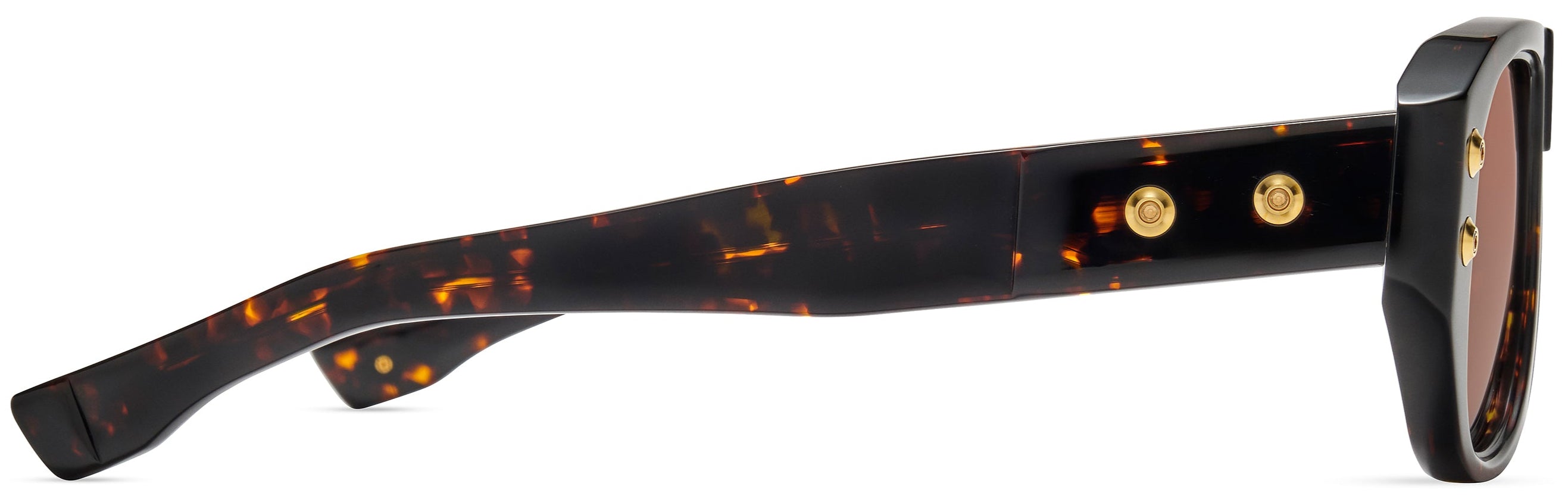 Color_DTS741-A-03 - Tortoise - Dark Burgundy