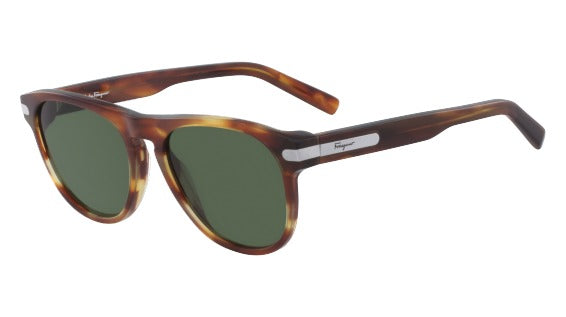 Color_(214) TORTOISE