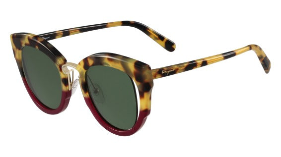 Color_(283) TOKYO TORTOISE/RUBY