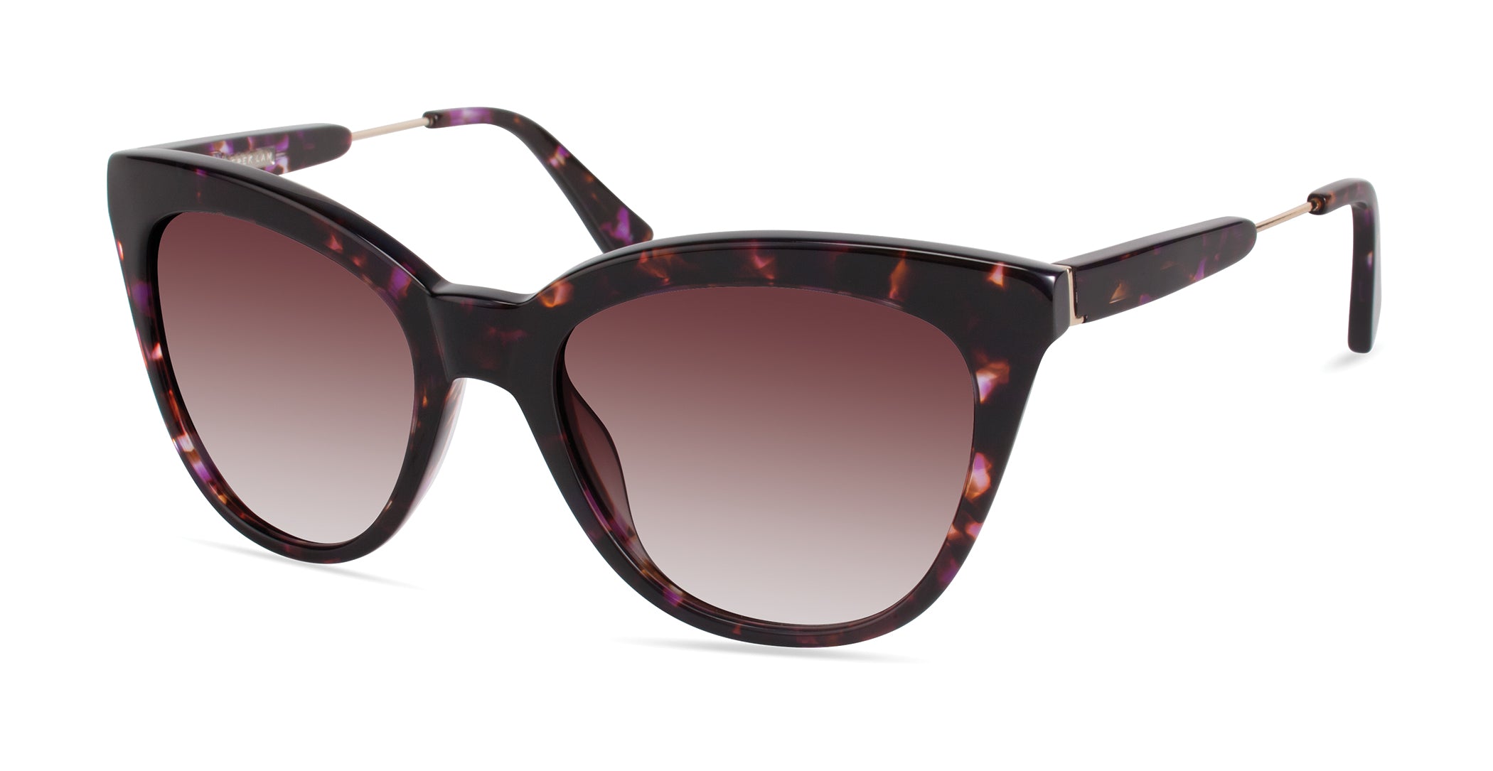 Color_02 - PURPLE TORTOISE