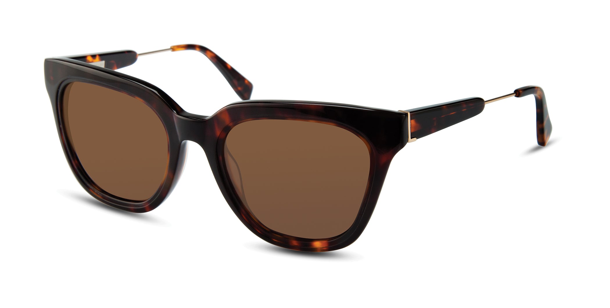 Color_03 - HAVANA TORTOISE