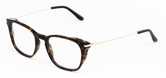 Color_FRAME ONLY - VL19060002 - Ecaille/Or