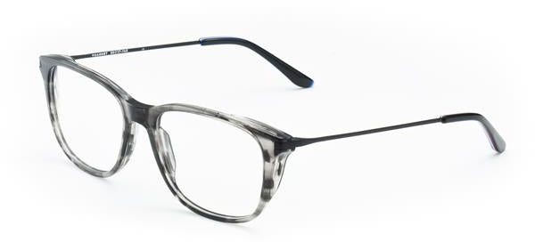 Color_FRAME ONLY - VL18010003 - Corne Grise /Noir mat