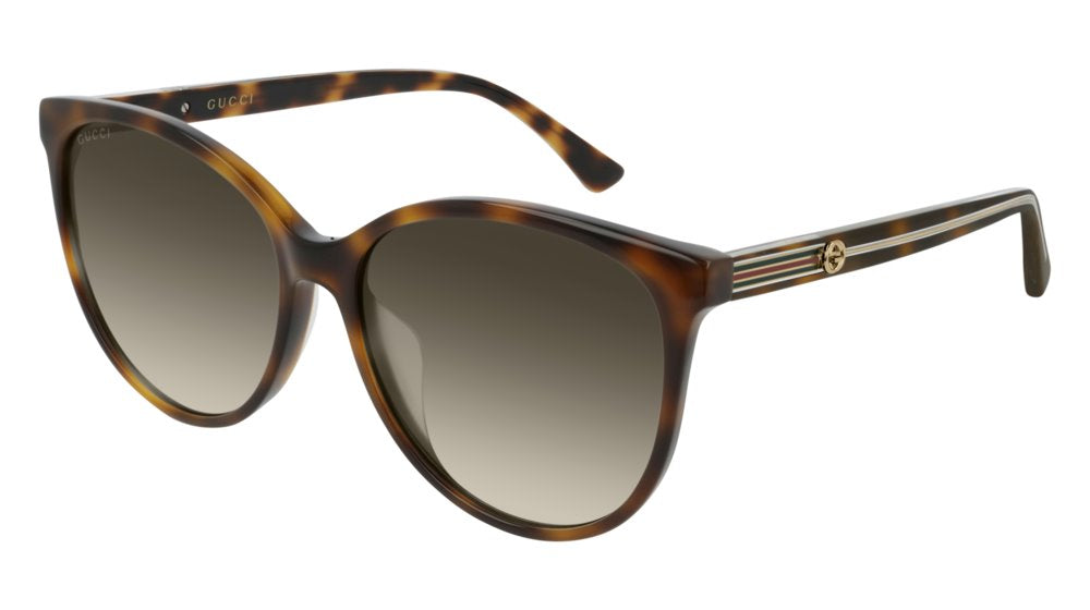 Color_GG0377SK-003 - HAVANA - BROWN - GRADIENT