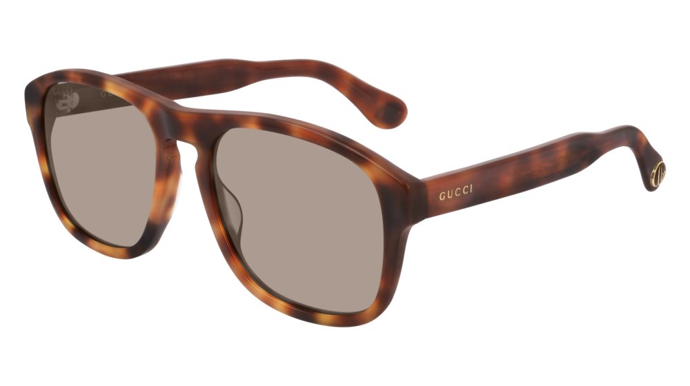 Color_GG0583S-003 - HAVANA - BROWN
