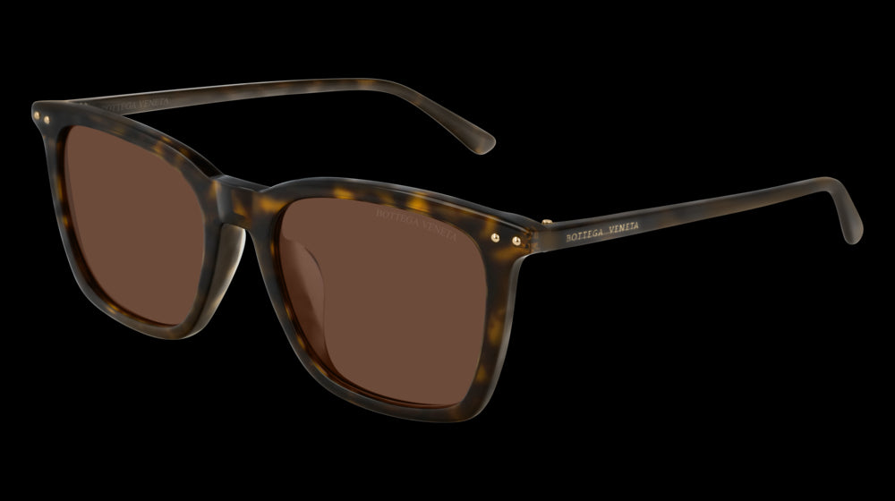 Color_BV0251SA-003 - HAVANA - BROWN