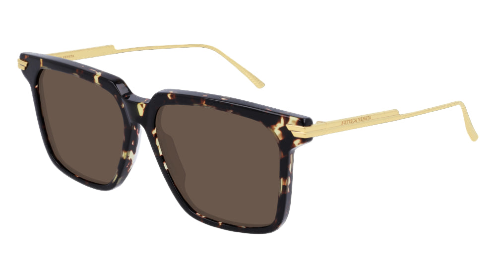 Color_BV1006S-002 - HAVANA - BROWN