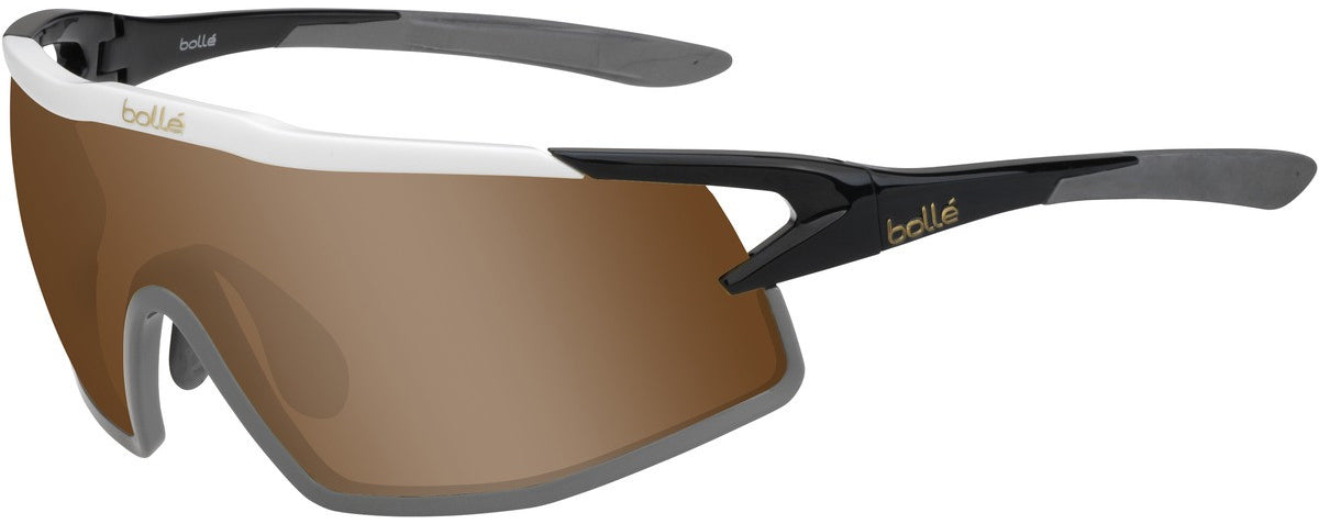 Color_12520 - Black Shiny - Brown Gold