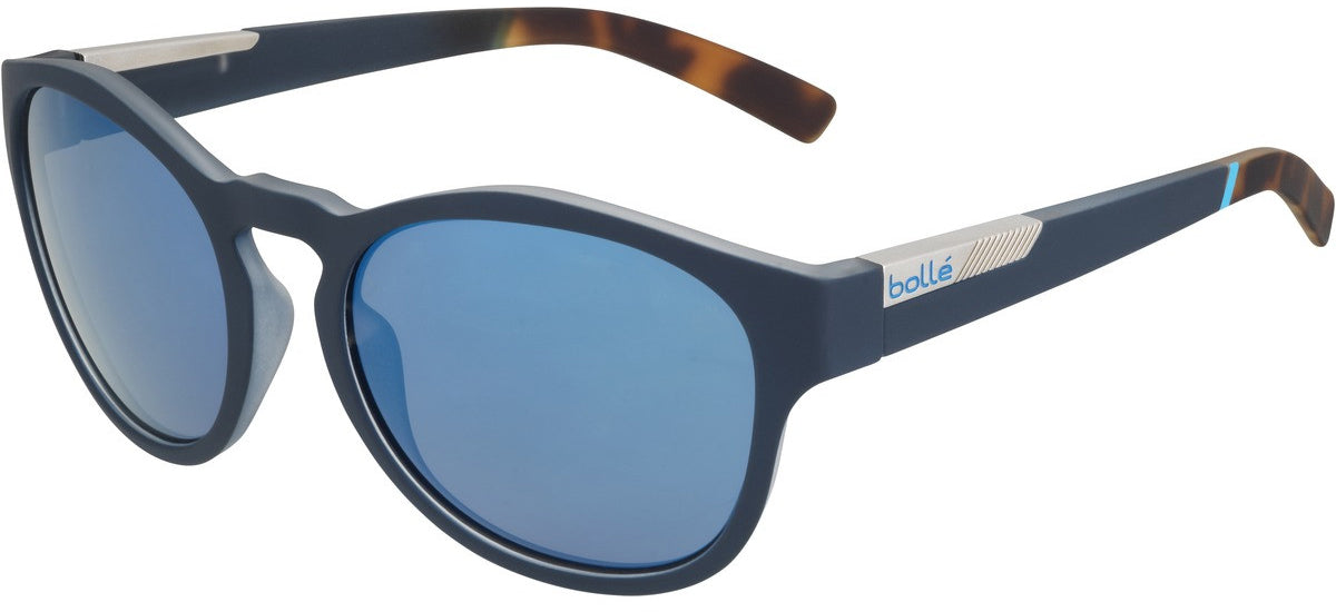 Color_12349 - Blue Tortoise Soft - Brown Blue