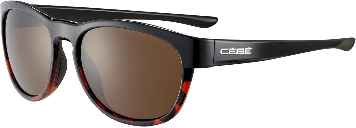 Color_CBS033 - Black Tortoise Shiny - Zone Brown Cat.3