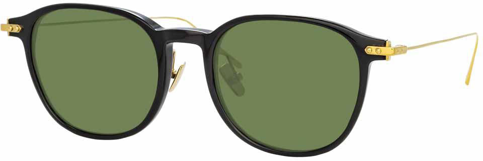 Color_LF16C9SUN - Linda Farrow Linear Meier C9 D-FrameSunglasses