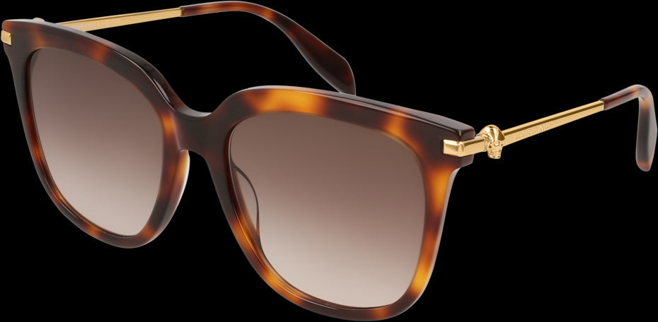 Color_AM0107S-002 - HAVANA - BROWN - GRADIENT