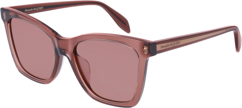 Color_AM0238SA-003 - BROWN - PINK