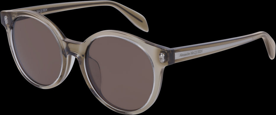 Color_AM0239SA-002 - BROWN - BROWN