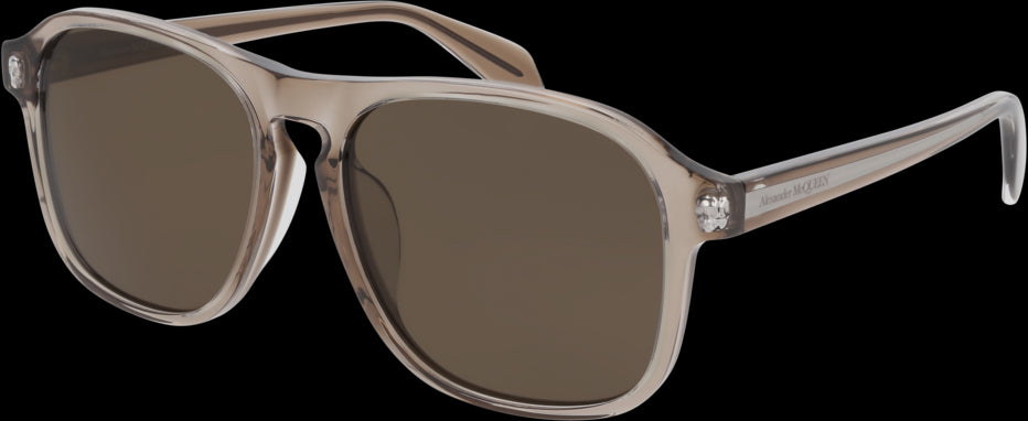 Color_AM0246SA-002 - BROWN - BROWN