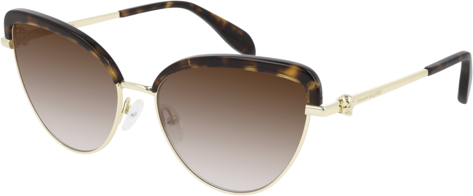 Color_AM0257S-003 - HAVANA - BROWN - GRADIENT