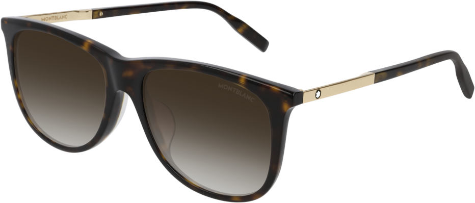 Color_MB0019SA-002 - HAVANA - BROWN - GRADIENT