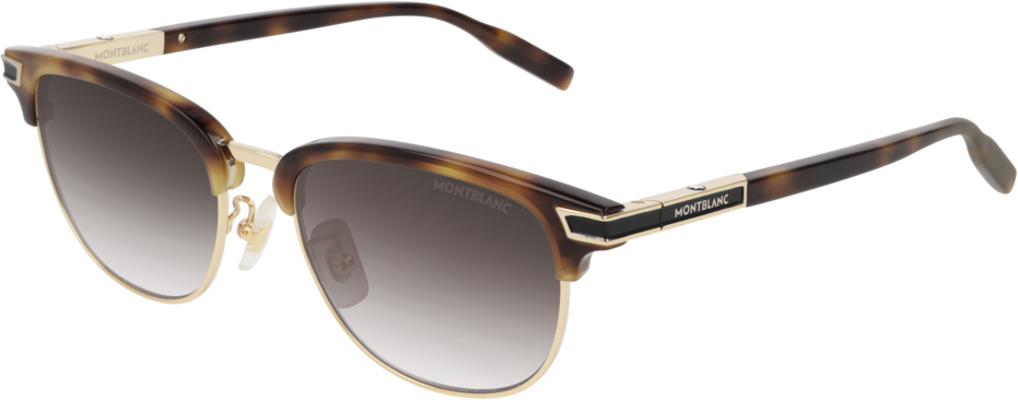 Color_MB0040S-002 - HAVANA - BROWN - GRADIENT