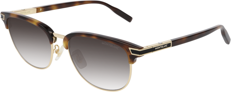 Color_MB0040S-006 - HAVANA - BROWN - GRADIENT