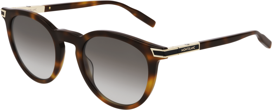 Color_MB0041S-002 - HAVANA - BROWN - GRADIENT