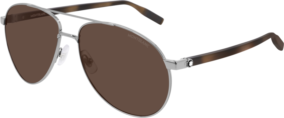 Color_MB0054S-003 - RUTHENIUM - BROWN
