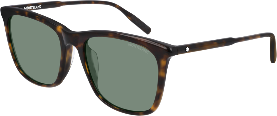 Color_MB0080SK-002 - HAVANA - GREEN