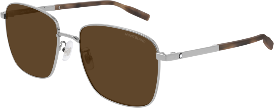 Color_MB0082SK-003 - RUTHENIUM - BROWN
