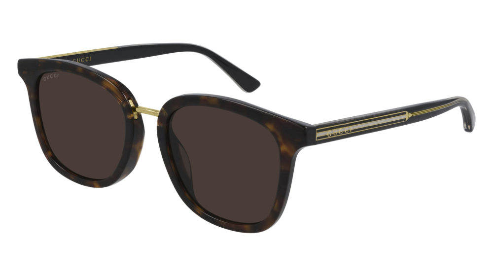 Color_GG0851SK-003 - HAVANA - BROWN