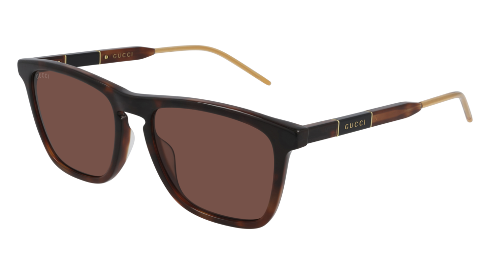 Color_GG0843S-002 - HAVANA - BROWN