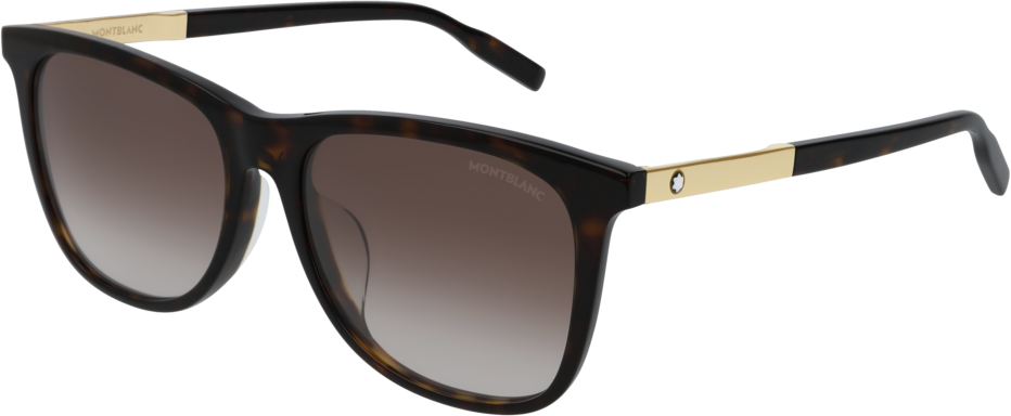 Color_MB0017SA-002 - HAVANA - BROWN - GRADIENT