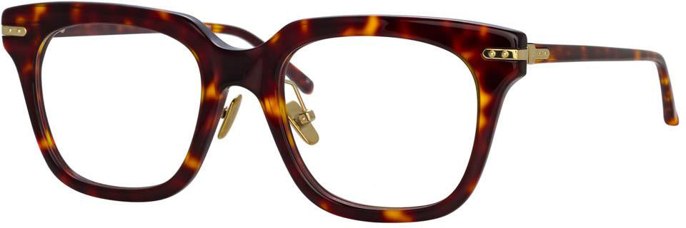 Color_LF28C2OPT - Empire Optical D-Frame in Tortoiseshell